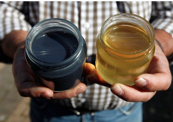 Sacrebleu! French Honeybees Produce Mysterious Blue Honey