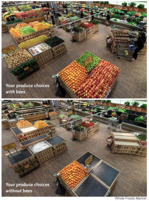 Our Supermarkets without Bees